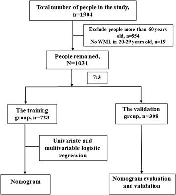 Development and validation of a predictive model for white matter lesions in young- and middle-aged people